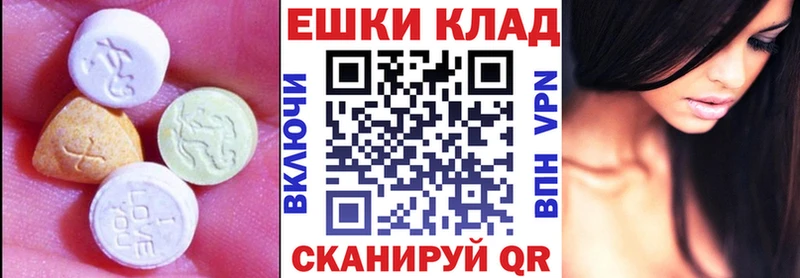 Купить закладки  Пушкино  Ecstasy круглые 