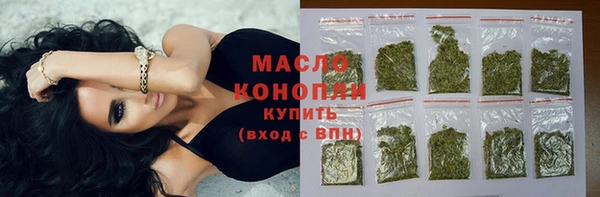 крисы Козельск