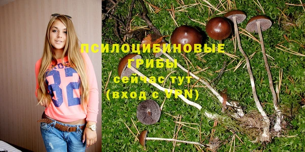 бутират Кинешма