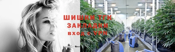 крисы Козельск