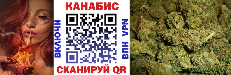 Купить закладки  Пушкино  Шишки марихуана сатива 